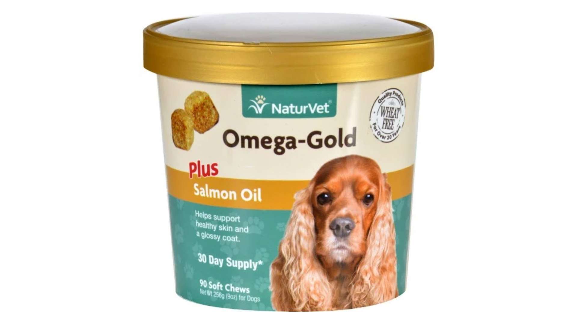 2023 Guide 10 Best Dog Supplements in Malaysia by vets)